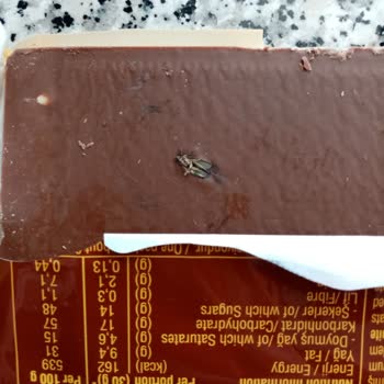 Ülker Çikolata Muzlu Pasta Tadında Ki Ürünün Bozuk Olması