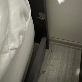 Vivense Kusurlu Gelen Ürünler, Değişimi Sağlanmaması Ve Dökülen Mobilyalar!
