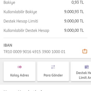 ING Hayat Sigorta İade İşlemi