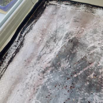 Bıcı Bıcı Halı Yıkama (Konya) Pişman Etti