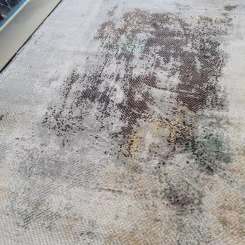 Bıcı Bıcı Halı Yıkama (Konya) Pişman Etti