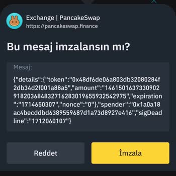 PancakeSwap Ena Coin Hatası