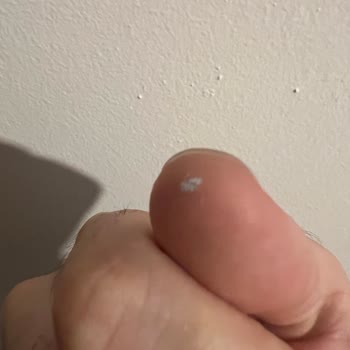 Automaster Ankara'da Araç Bakım Ve Temizlik Hizmetleri Üzerine Tarafsız Bir Değerlendirme