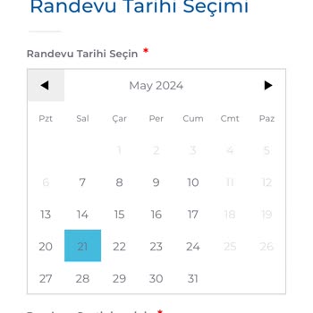 Kosmos Vize Hizmetleri Randevu Alınamayan Sistem
