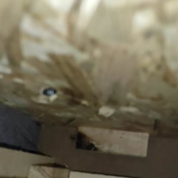 Kilim Mobilya Kusurlu Ürün Gönderildi