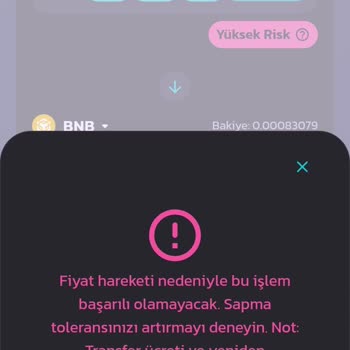 PancakeSwap Satış Yapamama Ve Şüpheli Coin Mağduriyeti