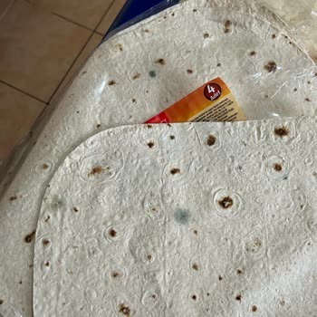 A101 Marketten Alınan Lavaşta Küf Sorunu