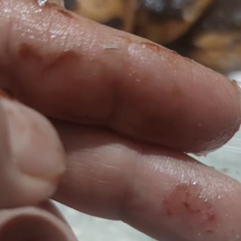 Üstatlım Metalli Ekler Satıyor