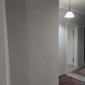 Polisan Gizemli Gri Aldık. Lila Çıktı.