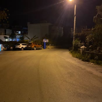 Bodrum Belediyesi Köpek Isırdı Turgutreis