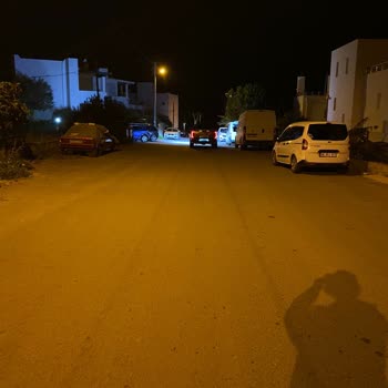 Bodrum Belediyesi Köpek Isırdı Turgutreis
