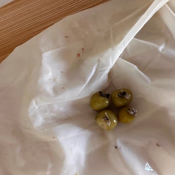 Tukaş Marka Güvencesinde Beklenmedik Misafirler!