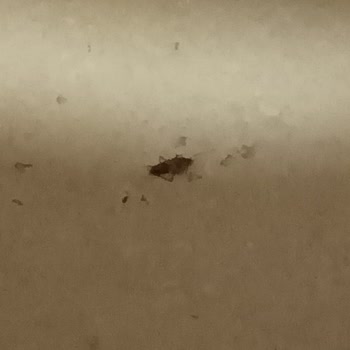 Şanlıurfa Eğitim ve Araştırma Hastanesi Büyükşehir Eyyubiye Devlet Hastanesi