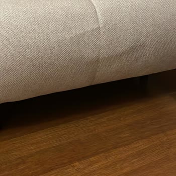 İstikbal Teknik Ekip Ve Genel Müdürlüğün Başarısızlığı