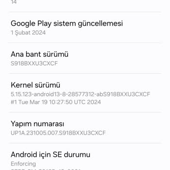 Samsung One Ui 6.1 Faciası