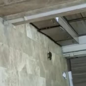 İbb Lütfen Sorunumuzu Çözün