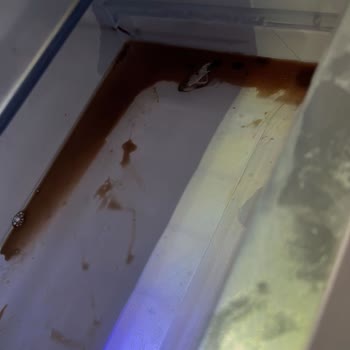 Beko Buzdolabı Ve Maddi Zararım