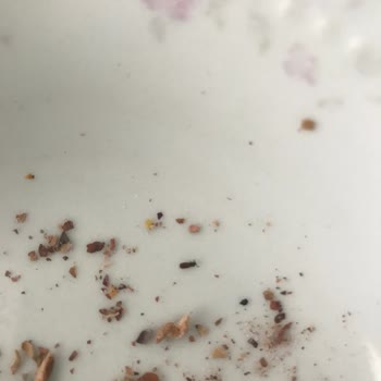 Malatya Pazarı Palancı Kuruyemiş Malatya Pazarı Böcekli Kuruyemiş Satıyor