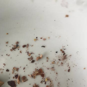 Malatya Pazarı Palancı Kuruyemiş Malatya Pazarı Böcekli Kuruyemiş Satıyor