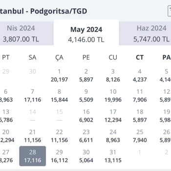 Pegasus'un Uçuş İptali Ve Sonrasında Yaşanan Mağduriyet