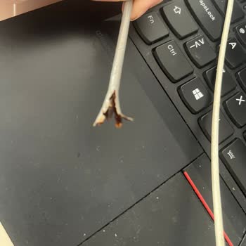 Franke Bulaşık Makinesi Paslanması
