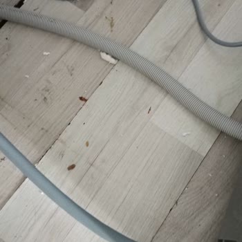 Profilo Servis Ten Şikayetçiyim