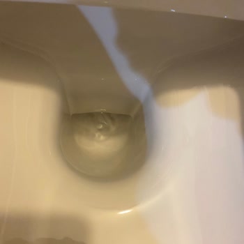 Koçtaş Sattığı Ürünlerin Arkasında Durmamaktadır