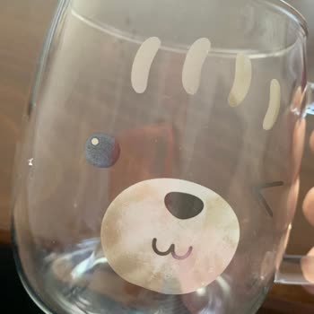 Evidea İnternet Alışverişi Pişmanlığı