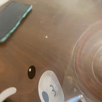 Evidea İnternet Alışverişi Pişmanlığı