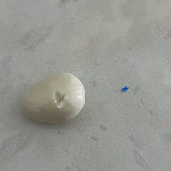 Elvan Gıda Plastik Cisim Çıktı