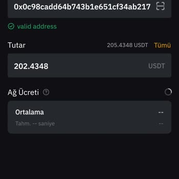 Bybit Web3Keyless Mantle Ağı Üzerinden USDT Hesabımdan Para Çekilmiyor