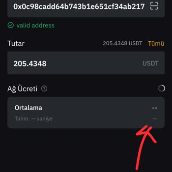 Bybit Web3Keyless Mantle Ağı Üzerinden USDT Hesabımdan Para Çekilmiyor