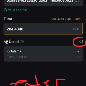 Bybit Web3Keyless Mantle Ağı Üzerinden USDT Hesabımdan Para Çekilmiyor