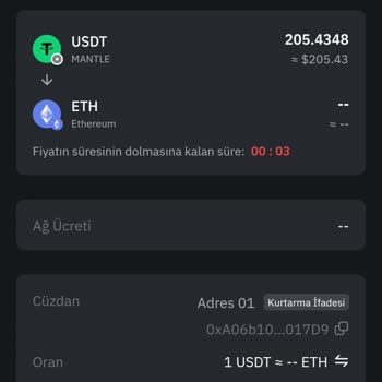 Bybit Web3Keyless Mantle Ağı Üzerinden USDT Hesabımdan Para Çekilmiyor