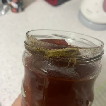 Küflenmiş Essen (Organik) Domates Salçası