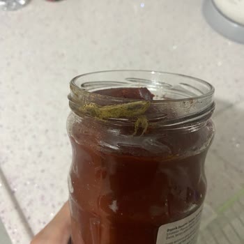 Küflenmiş Essen (Organik) Domates Salçası