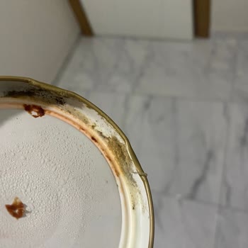 Küflenmiş Essen (Organik) Domates Salçası