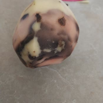 A101 Den Aldığım Patates