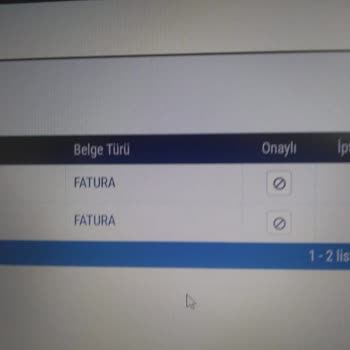 GİB E Arşiv Portal Sistemi Fatura