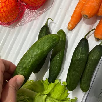 Profilo Buzdolabım Sebzelerimi Bozuyor