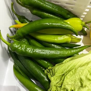 Profilo Buzdolabım Sebzelerimi Bozuyor