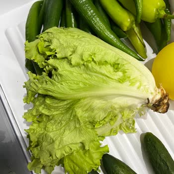 Profilo Buzdolabım Sebzelerimi Bozuyor