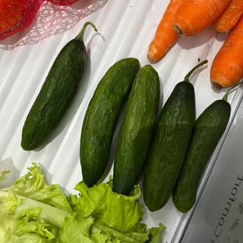 Profilo Buzdolabım Sebzelerimi Bozuyor