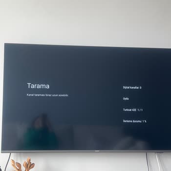 Philips TV Uydu Bulamama Problemi
