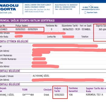 Anadolu Sigorta Tamamlayıcı Sağlık Sigortası