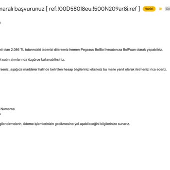 Pegasus Bilet İade Ücretini 1 Aydır Yapmıyor.