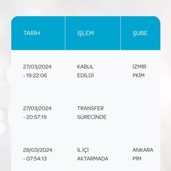 PTT Kargo Hükümetin Kanadı Altında