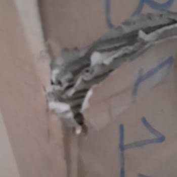 Aras Kargo Hasarlı Kargoyu Atıp Kaçtılar