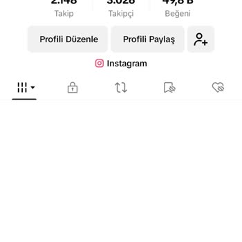 TikTok Hesaba Giriş Yapamıyorum