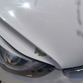 Hyundai Assan Boya Atması Problemi
